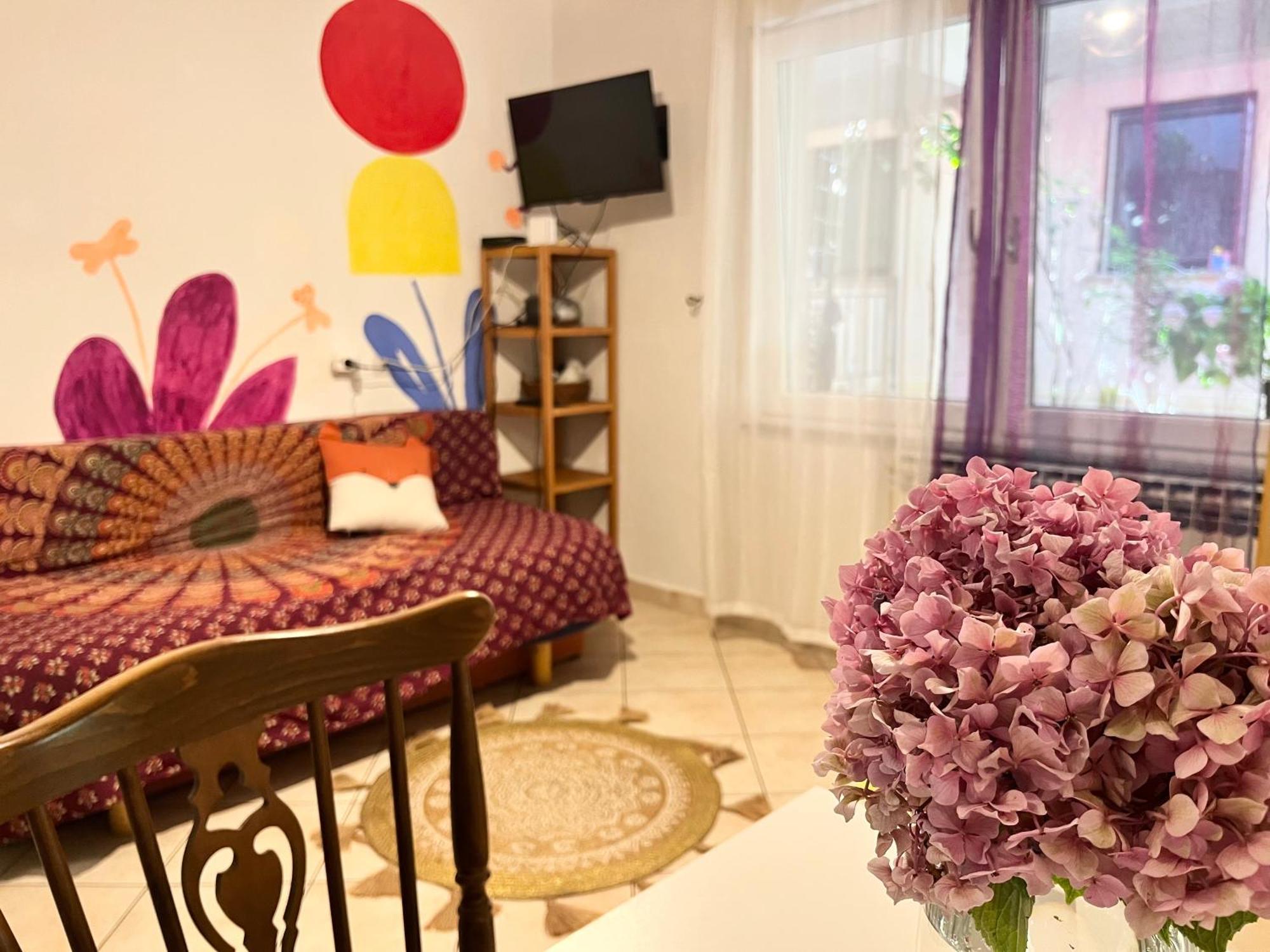 Veronika'S House Pula Zewnętrze zdjęcie